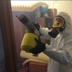 Уничтожение клопов в квартире. Южное Бутово